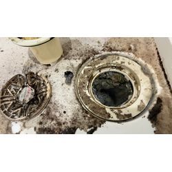 縦型洗濯機分解洗浄2台_排水口洗浄_小田原の画像1