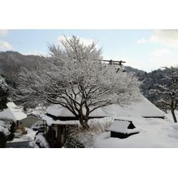 寒波の季節。地域で違う瓦屋根の工夫の画像1