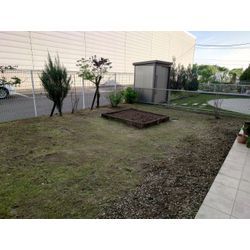 広いお庭の草むしりの画像3