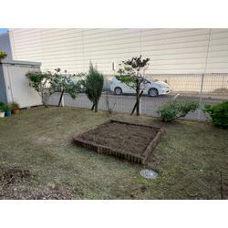 広いお庭の草むしりの画像2