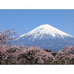 新規出店しました☆どうぞよろしくお願いいたします。の画像1