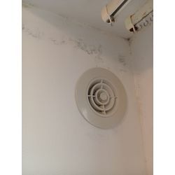 壁紙クロスカビ除去クリーニングの画像1