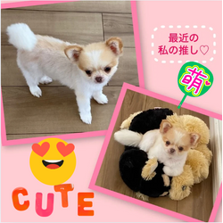 最近の私の推し♡の画像1