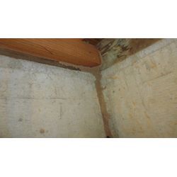 あなたの家は大丈夫？～シロアリ被害を見逃さないホームインスペクション～の画像1