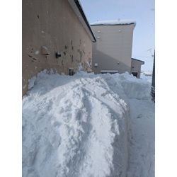 くらしのマーケット=おしゃれ🙂‍↕️の画像2