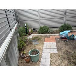 草むしりのご依頼をいただきましたの画像3