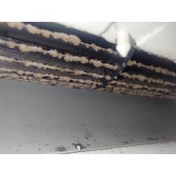 ペットか…の画像1