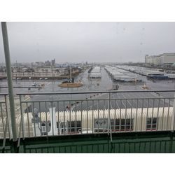 帰省中💨💨の画像2