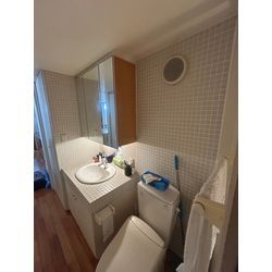 洗面所の壁パネル&タイル　洗面器塗装の画像1