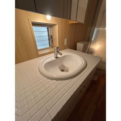 洗面所の壁パネル&タイル　洗面器塗装の画像3