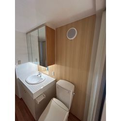 洗面所の壁パネル&タイル　洗面器塗装の画像2