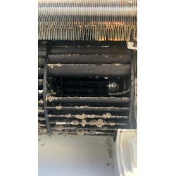 防カビコート施工についての画像1