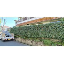 暑さが異常💦の画像2