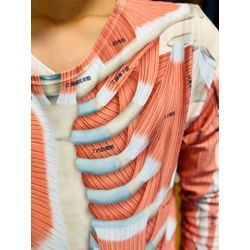 ☆開業１７２日目☆の画像3