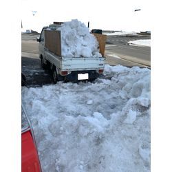 作業の様子の画像1