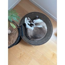 ☆開業200日目☆の画像1