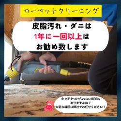 ペットと暮らすご家庭の清掃事情の画像1