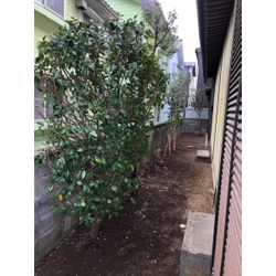 新潟市にての画像2