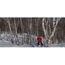 まさかの上位選出✨そして春スキー⛷️の画像3