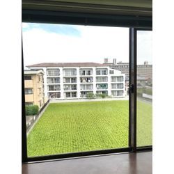 台風後の窓の画像2