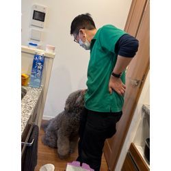 碧ちゃん（あおちゃん）です。の画像1