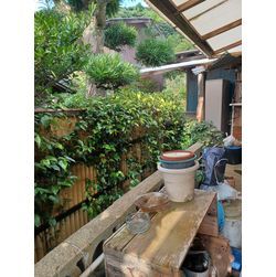 ★☆蜂の巣駆除☆★東区の画像1