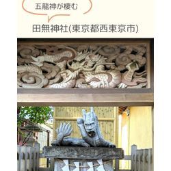 五龍神が棲む🐉⛩田無神社(東京都西東京市)の画像1