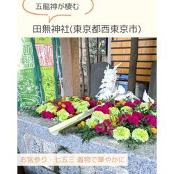 五龍神が棲む🐉⛩田無神社(東京都西東京市)の画像3