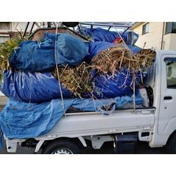 2025年末ラスト3作業！【年末カウントダウン連続投稿】〜群馬高崎の植木屋ゆうさんブログ〜の画像3