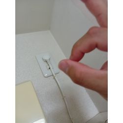 壁紙クロスカビ除去クリーニングの画像2