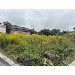 【安城市高木町の草刈り作業実績】リピーター様からのご依頼｜近隣への配慮もお任せくださいの画像1