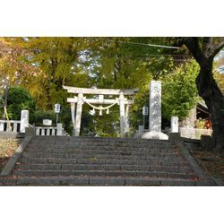 葛飾区の葛西神社にお宮参り撮影で伺いました📸の画像1