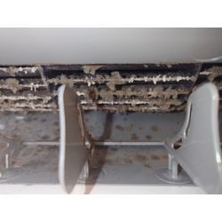 1年で…こんなに…の画像2