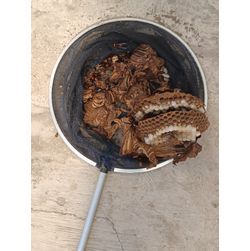 ★蜂の巣駆除★の画像2