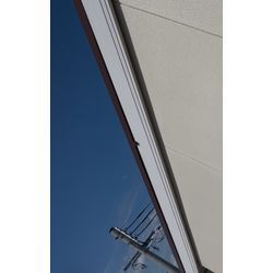コウモリ被害多数…放置はダメ。の画像1