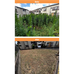 【川崎市】200㎡　空き地の除草作業の画像1