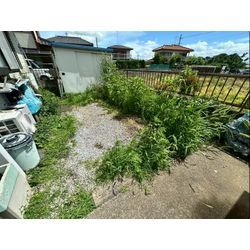 除草作業をさせて頂きました！の画像1