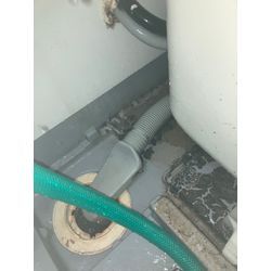 【カビの臭いもスッキリ】の画像1