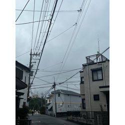 梅雨入りの画像1