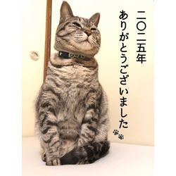 感謝の日々🙇🏻‍♂️🙇🏻‍♀️✨の画像1