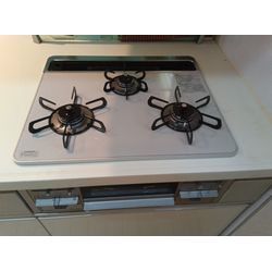 パロマ　リプラ　PD-509WS−60CVの画像1