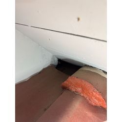 松戸市ネズミ駆除の画像1