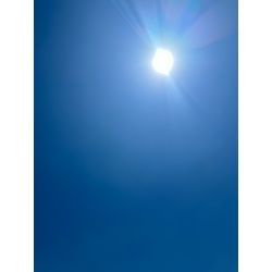 洗浄部門　再開の画像1