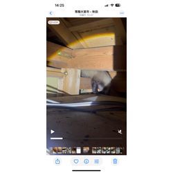 浴室の天井裏からハクビシンを追い出し、侵入経路の封鎖を行いました。の画像2