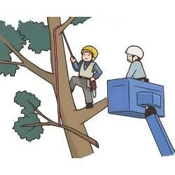 特殊伐採をスタートしましたの画像1