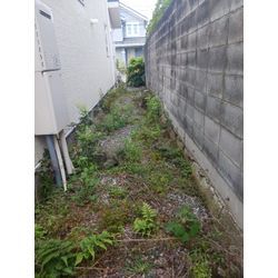 神奈川県伊勢原市にての画像1