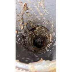 キッチン高圧洗浄機の画像2