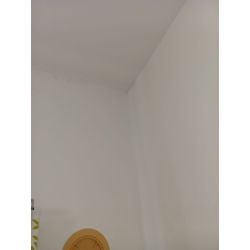 津田沼・八千代・柏の壁紙カビ除去の画像3