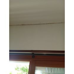 津田沼・八千代・柏の壁紙カビ除去の画像1