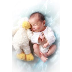 生後14日ベビーちゃん撮影の画像1